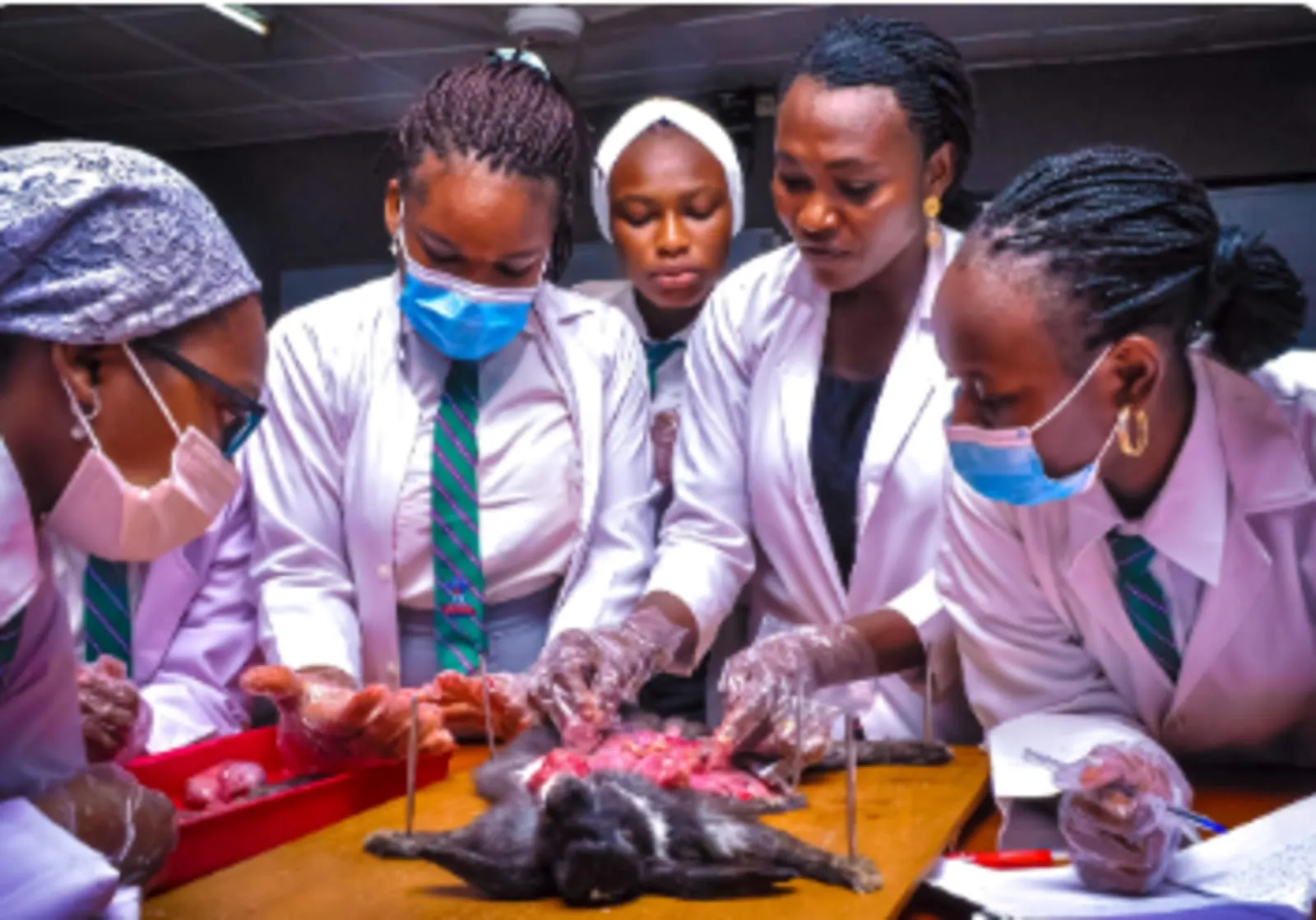 AUN Academy — photo 1