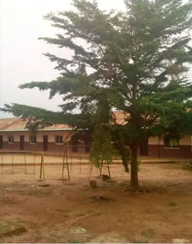 COLWEM SCHOOL — photo 3
