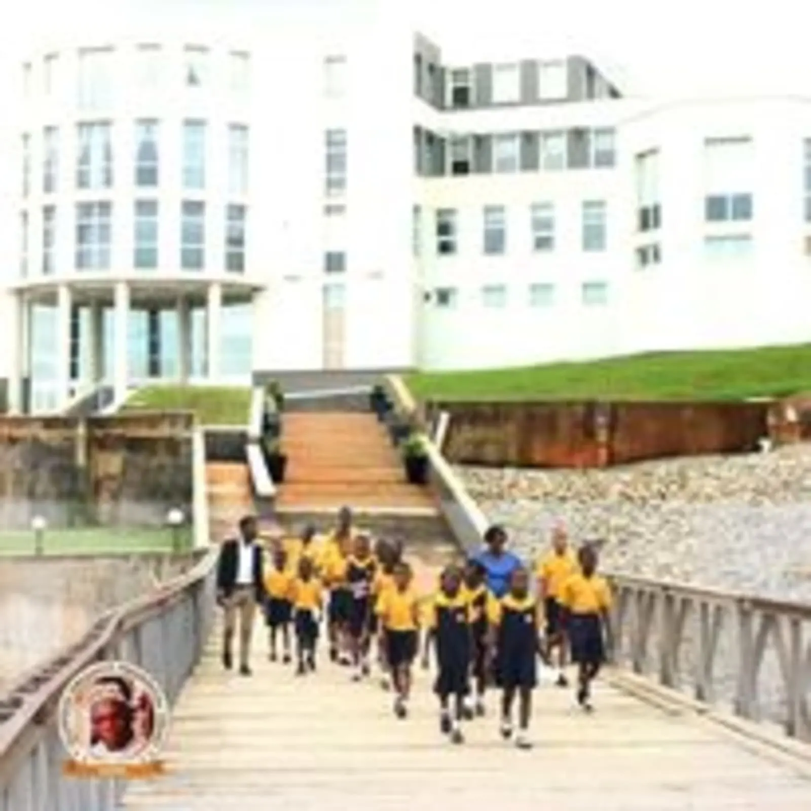 D-Ace Ultimate School — photo 1