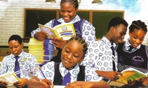 Damiland Schools — photo 3