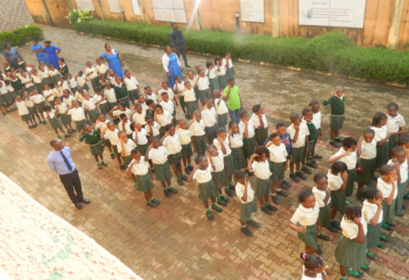 De-Mays Schools — photo 1
