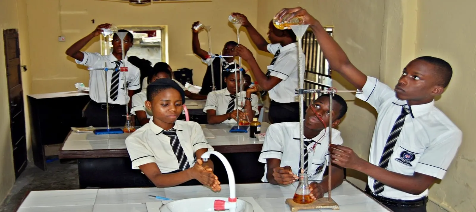 DIFFERENTIAL COLLEGE — photo 1
