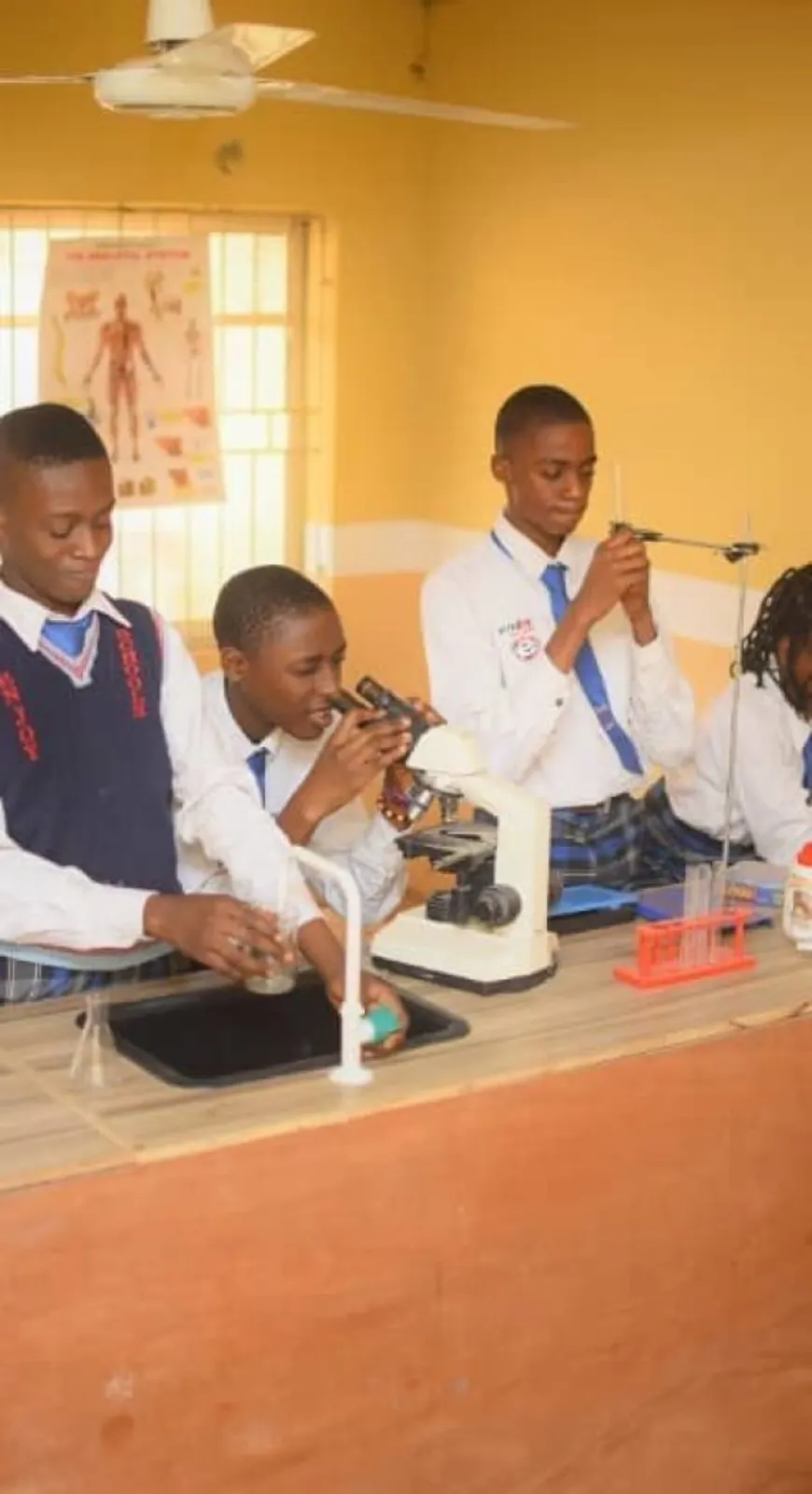 En-Joy Schools — photo 1