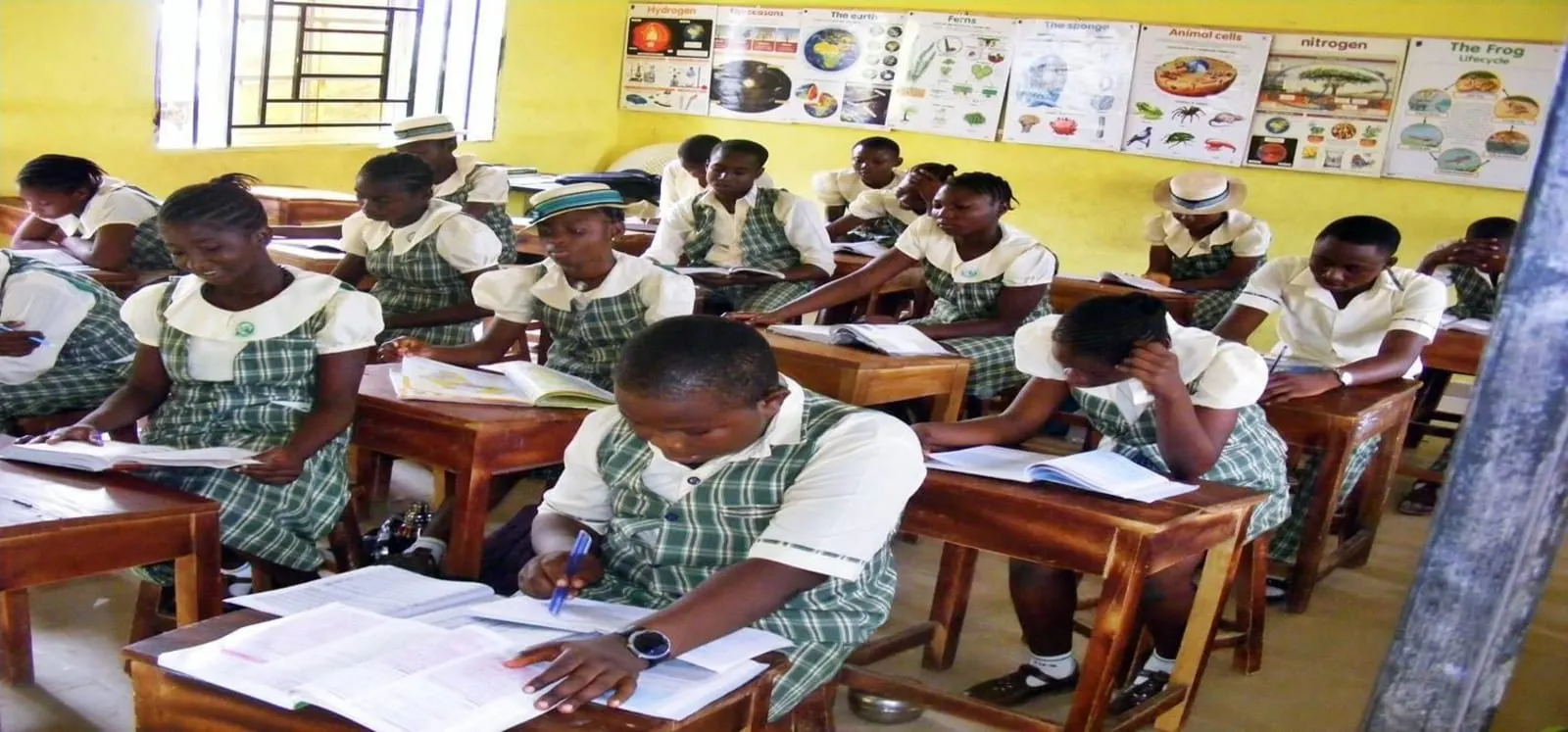 Grams Schools — photo 1