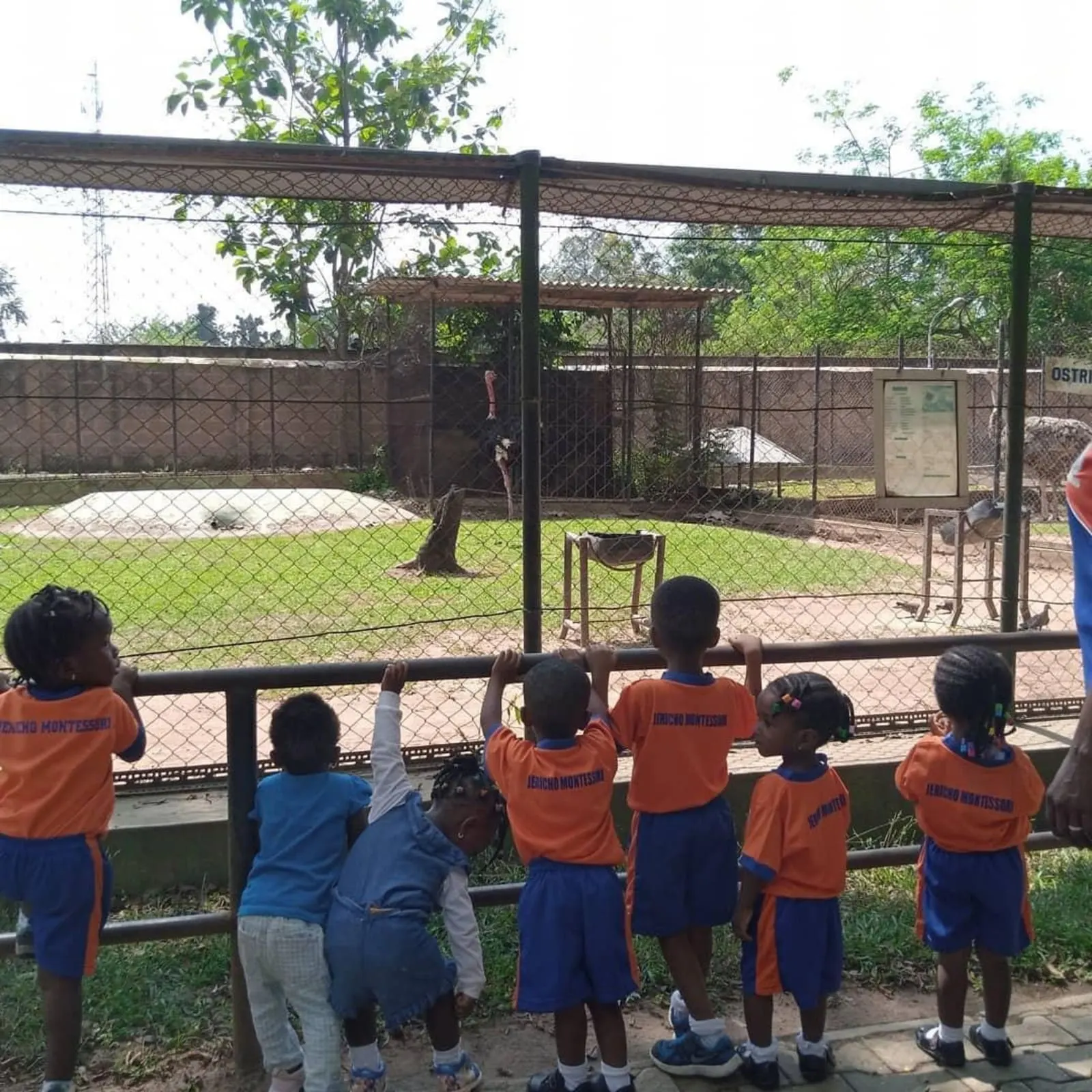 Jericho Montessori School — photo 1
