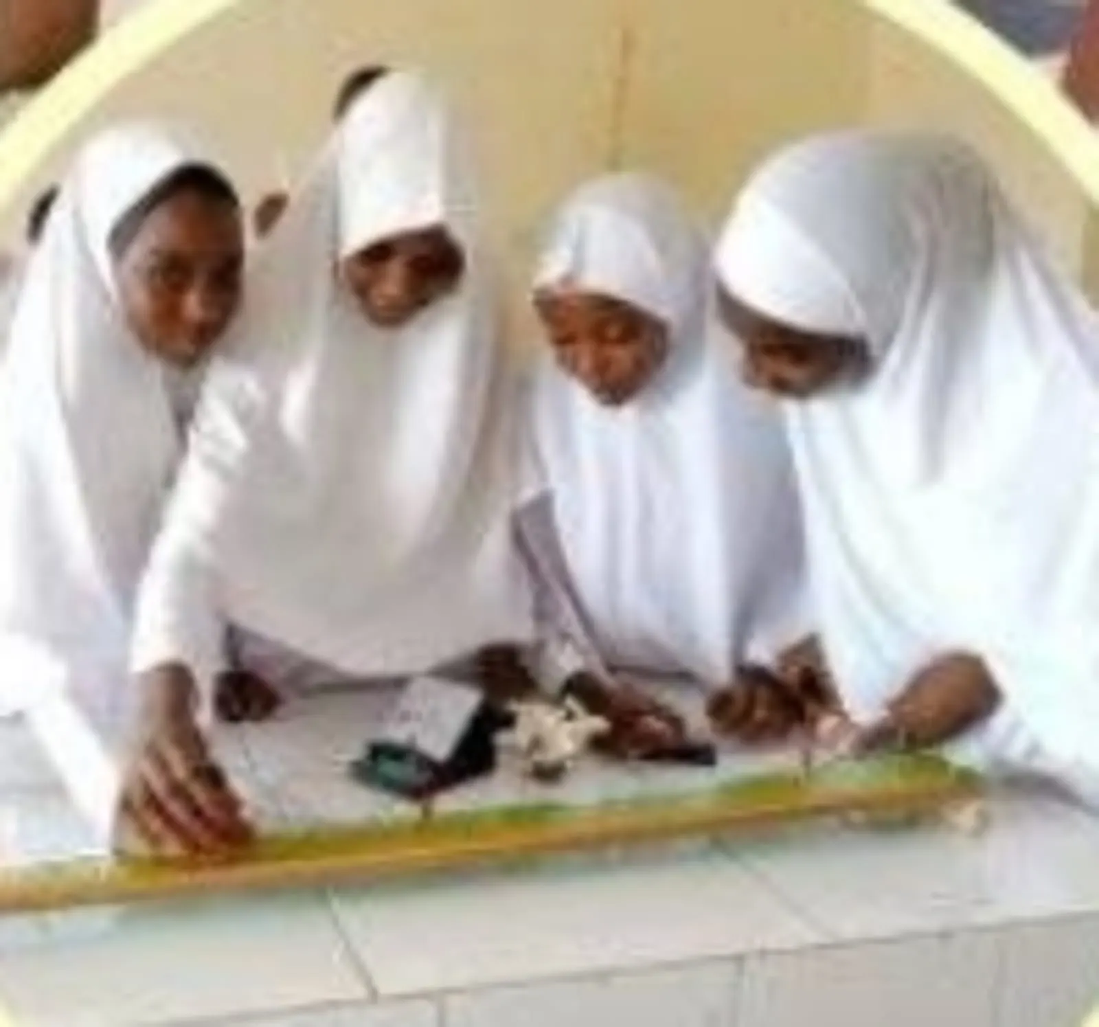 Zainab Memorial Academy — photo 1
